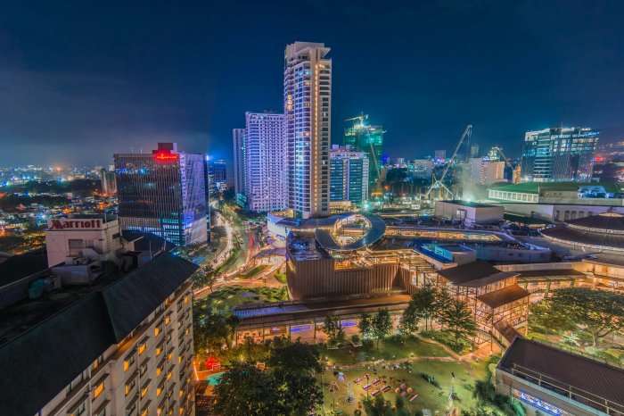 Night view of city skyscrapers and park