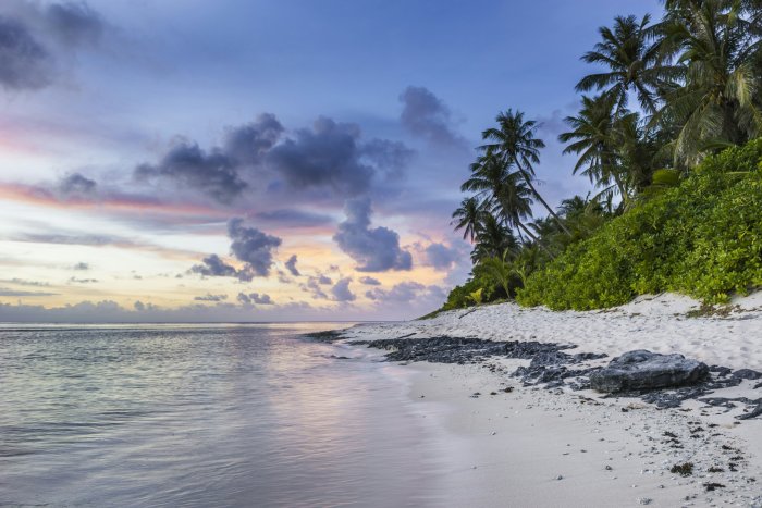 Tropical beach with palm trees at sunset