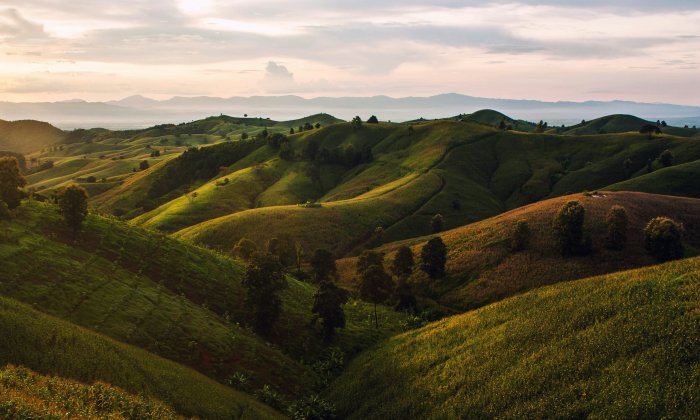 Rolling Green Hills and Mountains at Sunrise