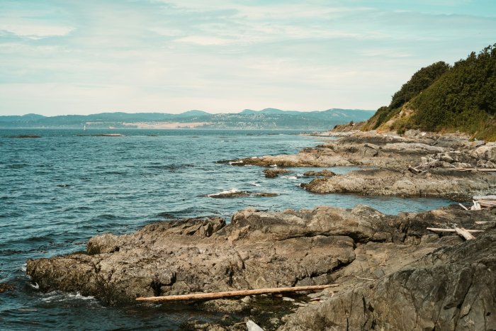 Rocky coastline with driftwood and distant mountains