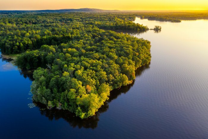 Aerial View of Forested Peninsula at Sunset