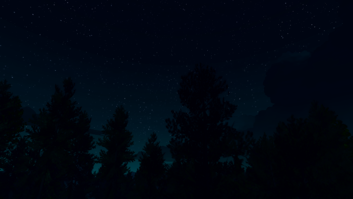 Starry Night Sky Over Dark Forest Silhouette
