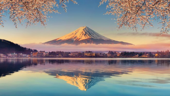 Mount Fuji Reflected in Lake Kawaguchi with Cherry Blossoms