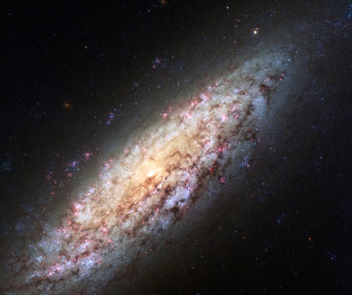 Lonely Galaxy NGC 6503 Lost in Space