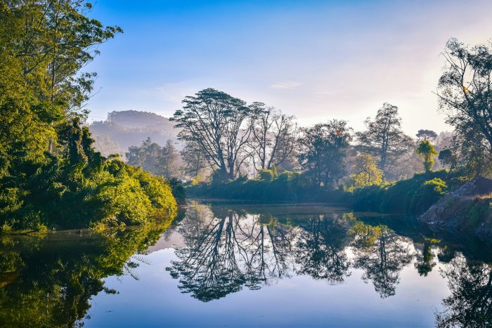 Calm River Reflecting Trees and Misty Hills