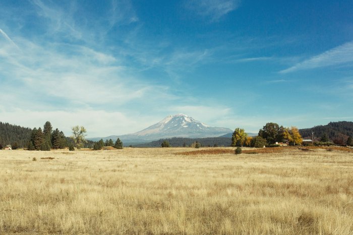 Golden grass field with a distant snow-capped mountain