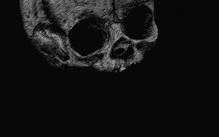 Stylized Engraved Human Skull on Black