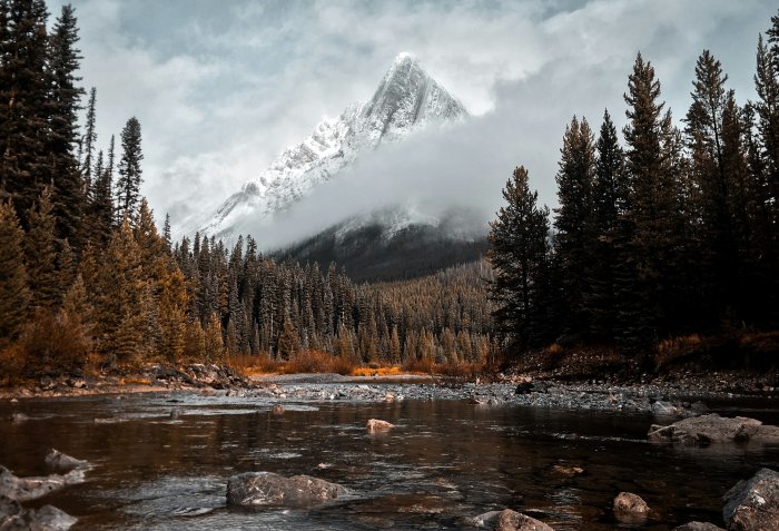 Snowy Mountain Peak and River in Pine Forest