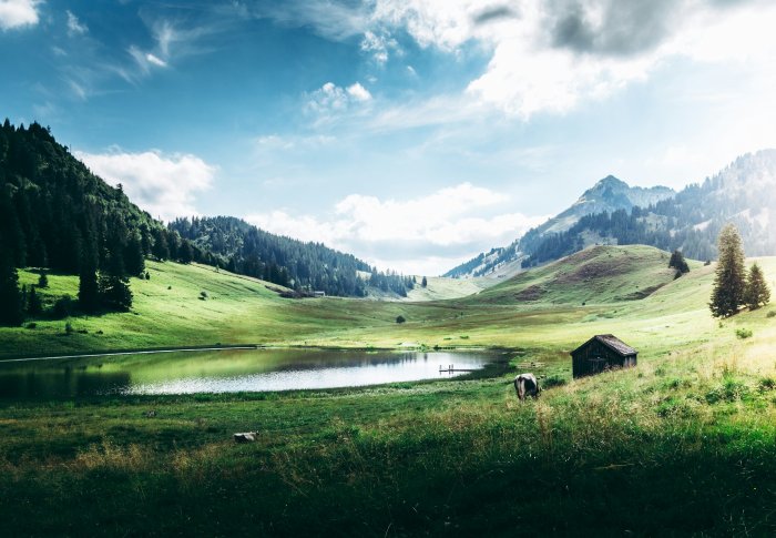 Green valley with a lake, cabin, and grazing cow