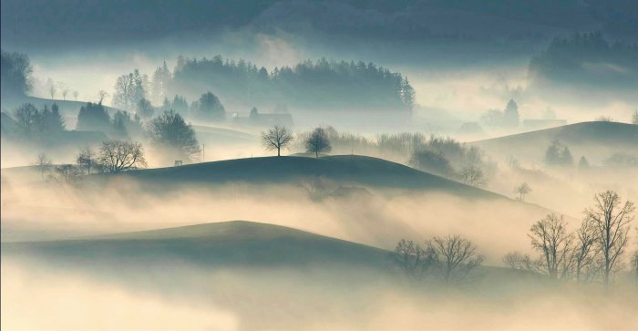 Misty rolling hills and trees in morning fog
