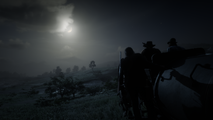 Red Dead Redemption 2 characters under a moonlit night