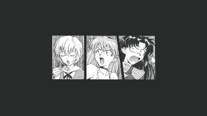 Rei, Asuka, and Misato from Neon Genesis Evangelion