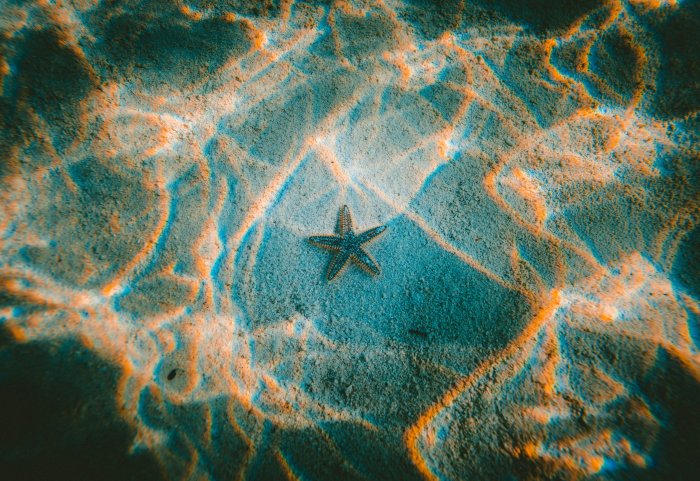 Starfish on sandy seabed under rippling water