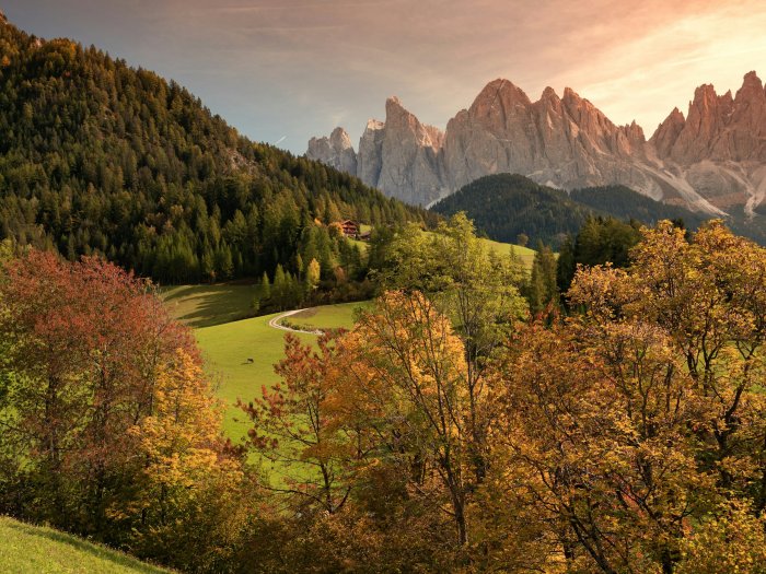 Autumn trees and Dolomite mountains in Italy