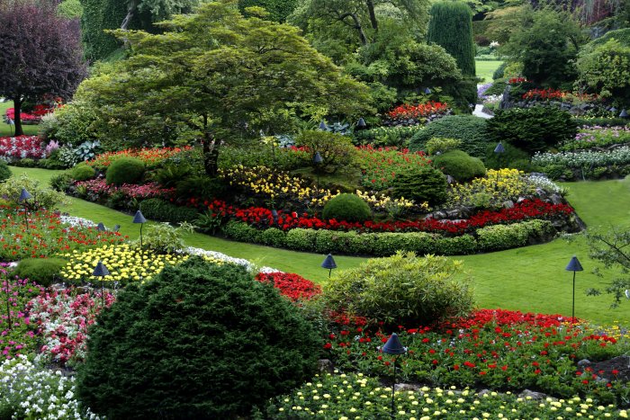 Lush Flower Beds at Butchart Gardens