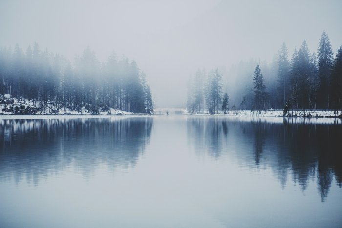 Misty pine forest reflecting on a calm winter lake