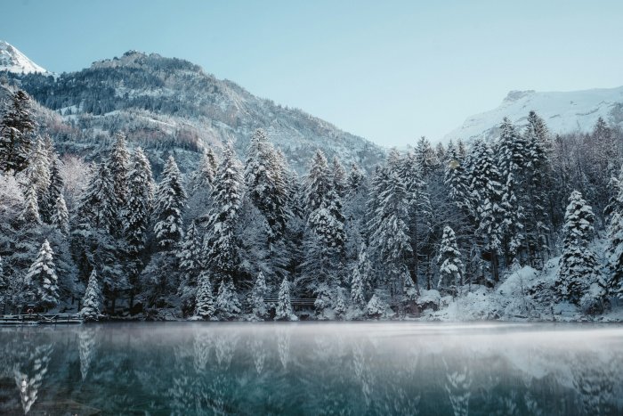 Snowy forest and mountains reflecting in a calm lake