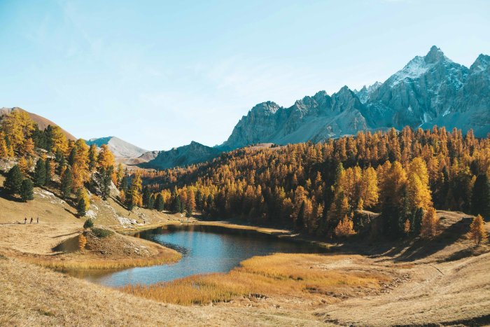 Mountain Lake Surrounded by Autumn Larch Forest