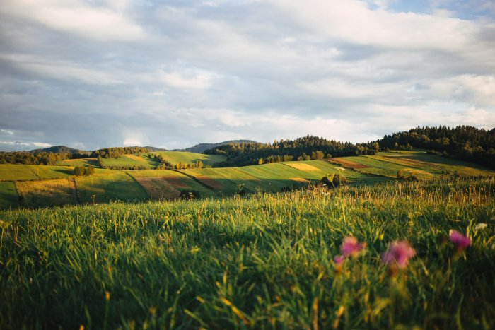 Rolling green hills and fields under a cloudy sky
