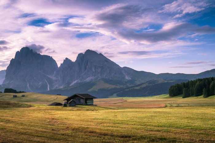 Wooden cabin in a grassy meadow with mountains