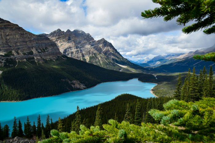 Turquoise Peyto Lake surrounded by mountains in Canada