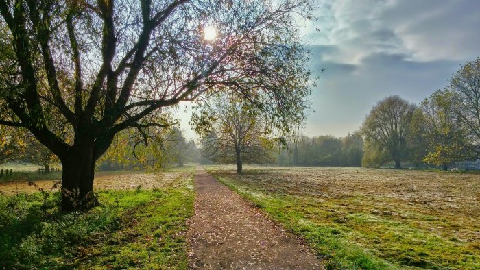 Autumn park path with morning sun