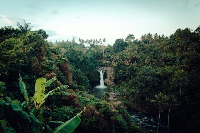 Tropical waterfall surrounded by lush green jungle