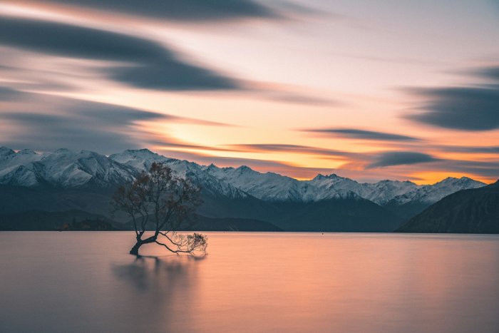 The Wanaka Tree in Lake Wanaka at Sunset