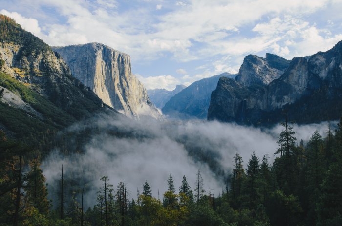 Thick Fog Filling Yosemite Valley