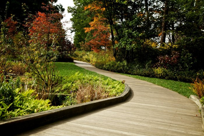 Wooden boardwalk path winding through an autumn garden