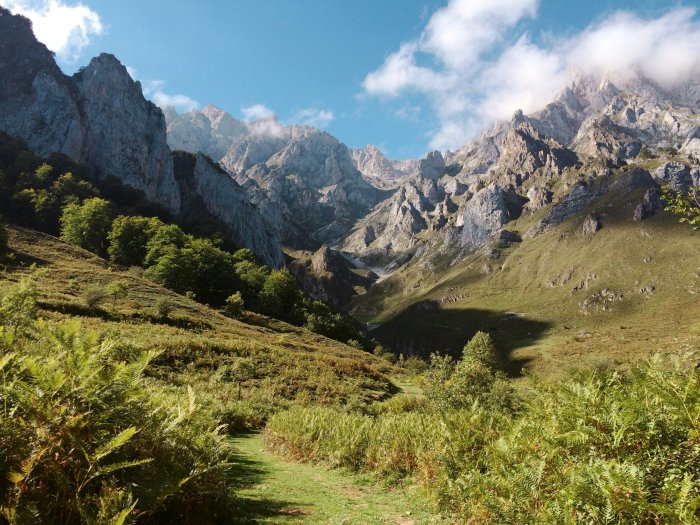 Mountain range with green grassy valley and rocky peaks