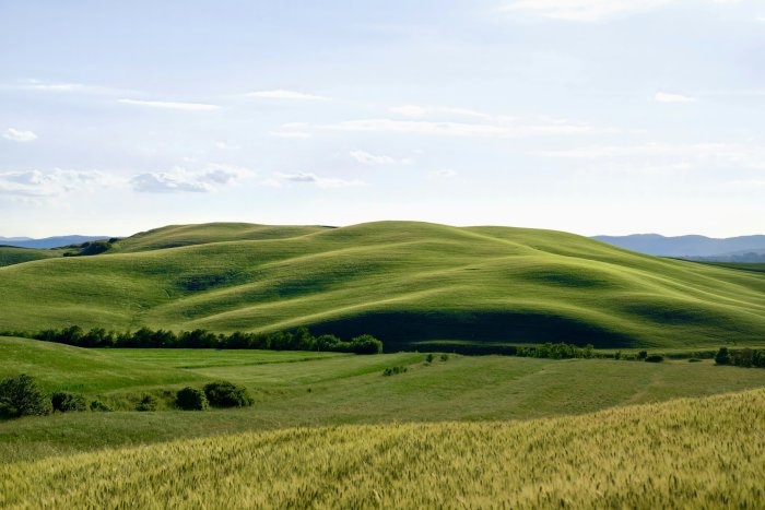 Rolling Green Hills of Tuscany Landscape