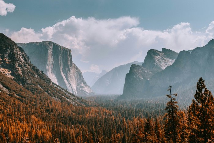 Yosemite Valley landscape with El Capitan and pine forest
