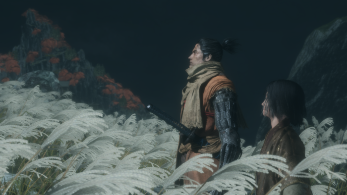 Wolf and Kuro in Sekiro Shadows Die Twice