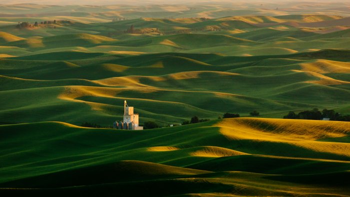 Rolling Green Hills of the Palouse with Grain Elevator