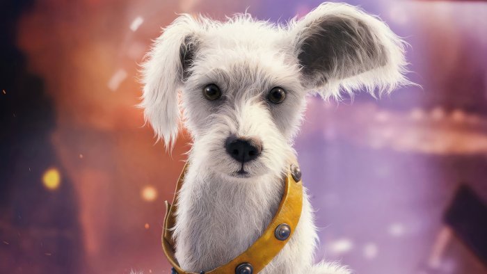Krypto the Superdog from DC Universe
