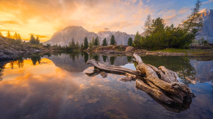 Mountain Lake Reflection with Driftwood at Sunset