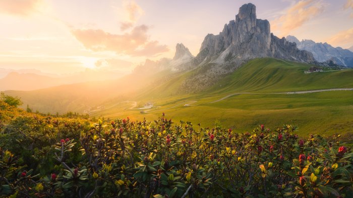 Mountain Peaks and Wildflowers at Golden Hour