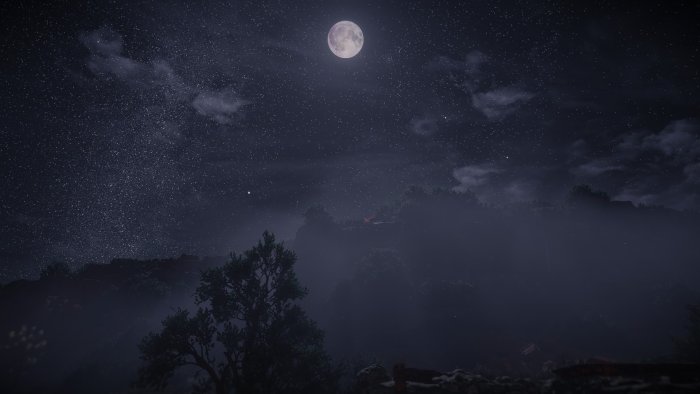 Full Moon and Starry Night Sky Over Misty Forest