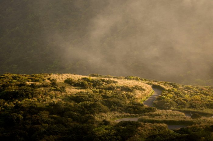 Winding road on a misty golden hillside