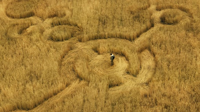 A person standing in a crop circle in Disclosure Day