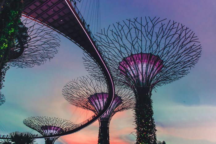 Gardens by the Bay Supertrees at Sunset