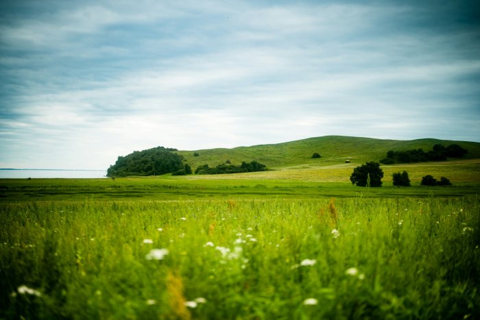 Green grassy field with rolling hills and cloudy sky