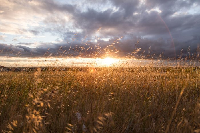 Sun shining through clouds over a grassy field