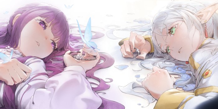 Fern and Frieren from Frieren: Beyond Journey's End