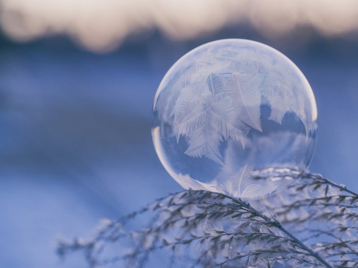 Frozen Bubble Resting on Frosty Grass