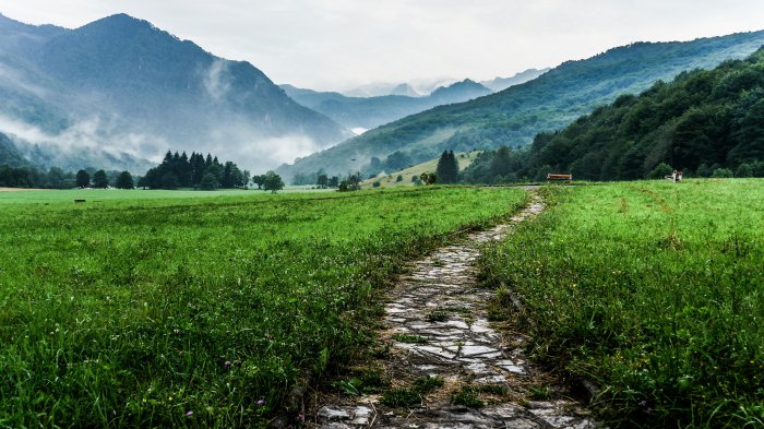 Stone pathway winding through a green mountain valley