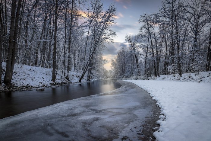 Frozen creek flowing through a snow covered forest