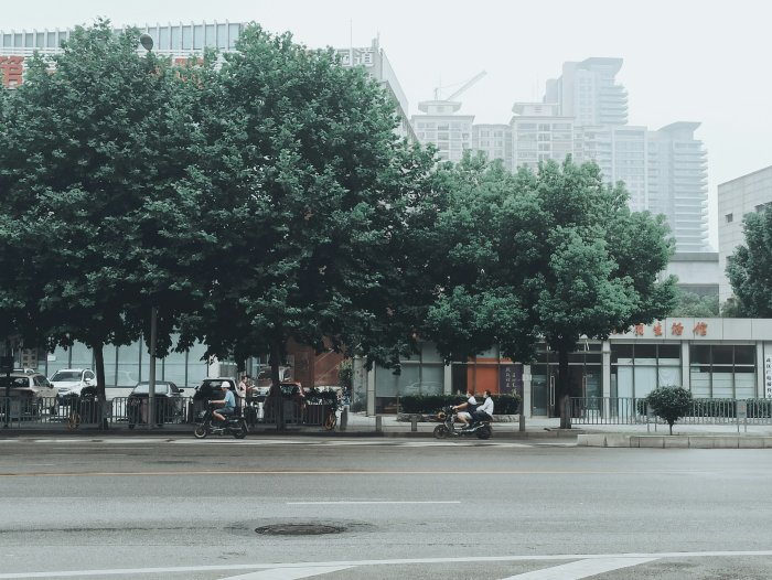 Urban street scene with lush green trees and scooters