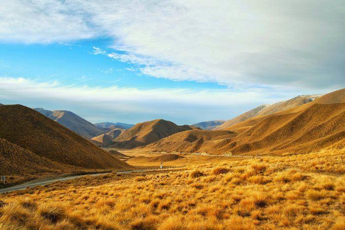 Winding road through golden tussock hills